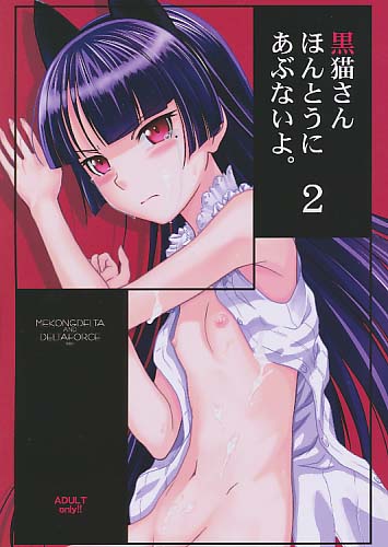 黒猫さんほんとうにあぶないよ。 2