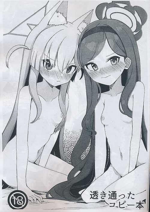 透き通ったコピー本