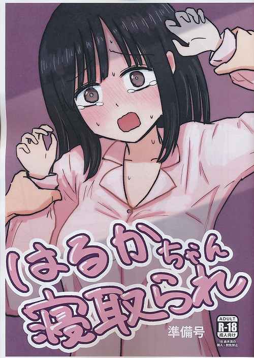 はるかちゃん寝取られ　準備号