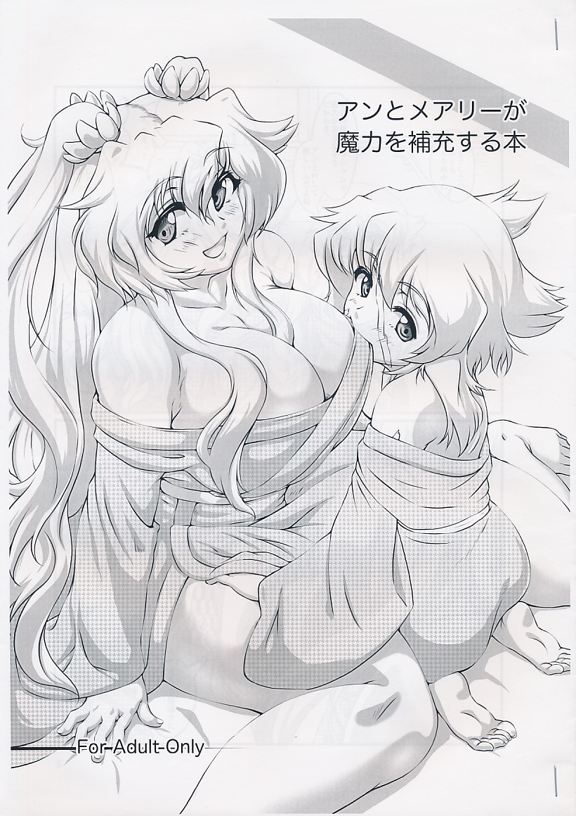 アンとメアリーが魔力を補充する本