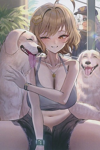 アニス　ポストカード