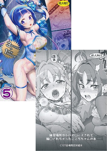 C107・2点セット（おまけ本これくしょん５-エロキュア編＋練習場所からハイ○ースされて輪○されちゃったこころちゃんの本）