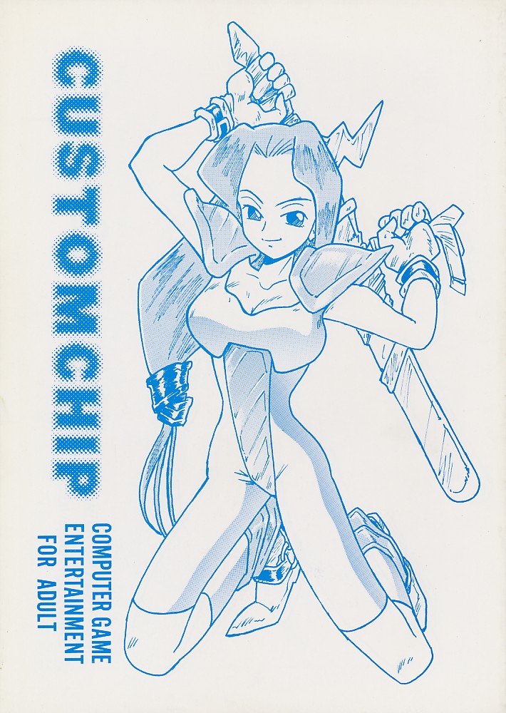 CUSTOMCHIP