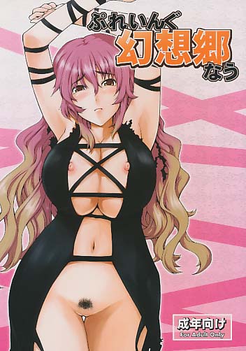 ぷれいんぐ幻想郷なう