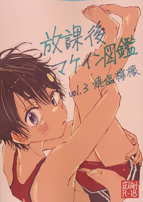 放課後マケイン図鑑 vol.3 焼塩檸檬