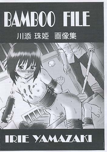 BAMBOO FILE 川添珠姫 画像集