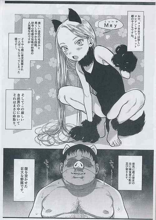 C97 頒布コピー本