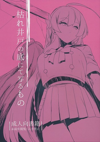 枯れ井戸の底にて写るもの