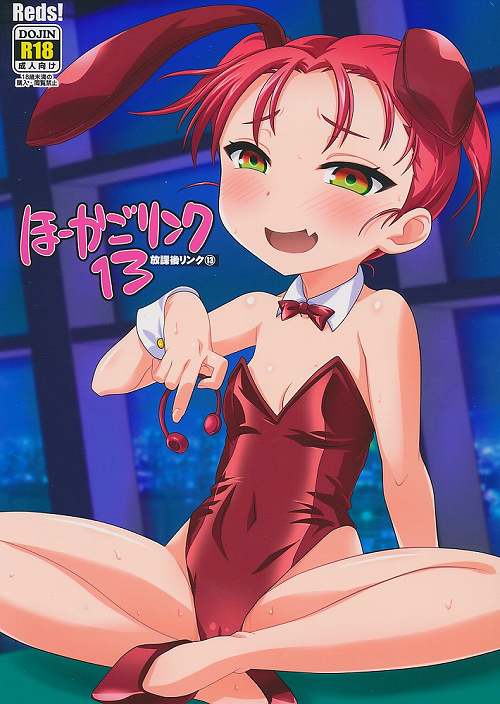 ほーかごリンク 13