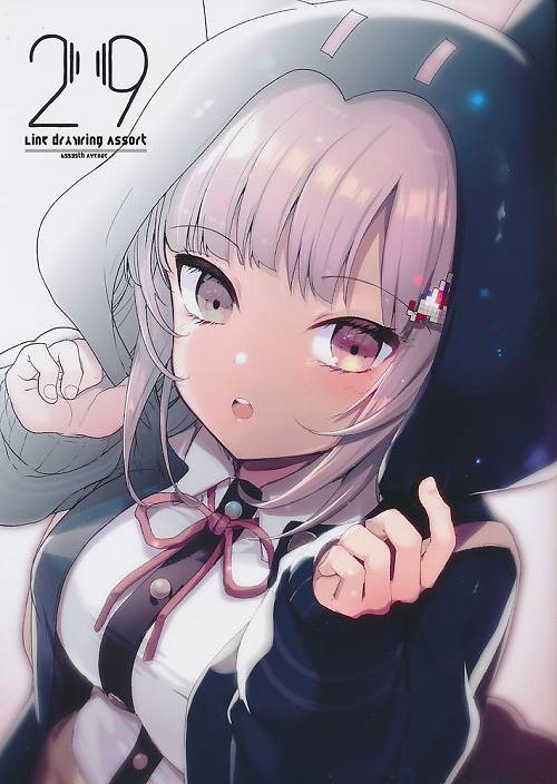 29 Line driwing Assort