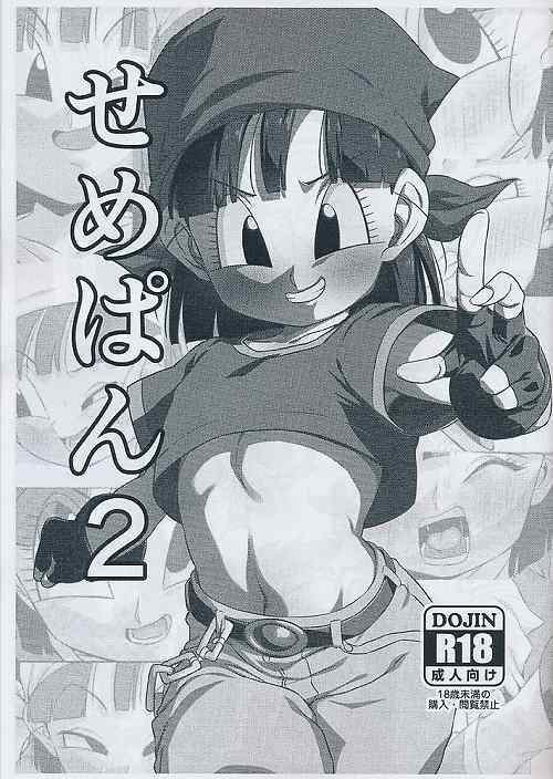 せめぱん2