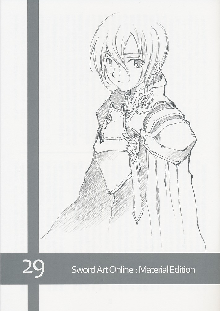 Sword Art Online:MaterialEdition 29