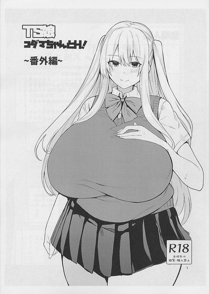 TS娘コダマちゃんとH!　~番外編~